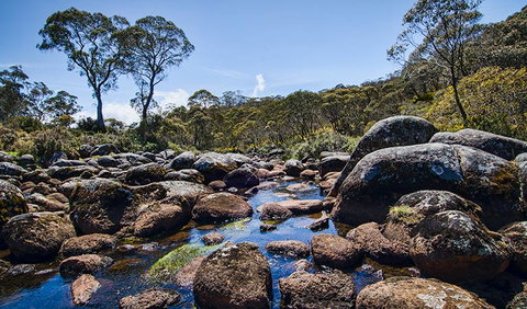 Junction Pools Campground - New South Wales Tourism  2