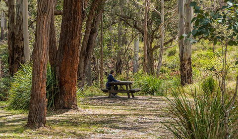 Koreelah Creek Campground - New South Wales Tourism  0