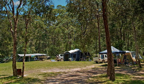 Korsmans Landing Campground - New South Wales Tourism  1