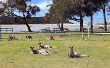 Lake Conjola Entrance Holiday Park - New South Wales Tourism  2