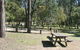 Lemon Tree Flat Campground - thumb 0