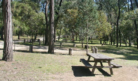 Lemon Tree Flat Campground - New South Wales Tourism  0