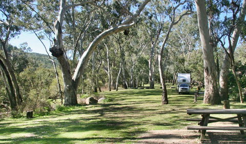 Lemon Tree Flat Campground - New South Wales Tourism  2
