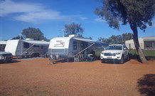 Lightning Ridge Tourist Park - New South Wales Tourism  2