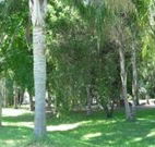 Lismore Palms Caravan Park - New South Wales Tourism 