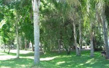 Lismore Palms Caravan Park - New South Wales Tourism  0