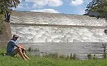 Lostock Dam Caravan Park - New South Wales Tourism  0