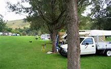 Lostock Dam Caravan Park - New South Wales Tourism  1