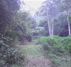 Macas Camping Ground - New South Wales Tourism 