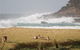 Merry Beach Caravan Resort - thumb 2