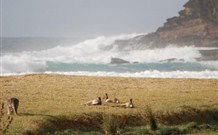 Merry Beach Caravan Resort - New South Wales Tourism  2