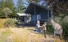 Murramarang Beachfront Nature Resort - New South Wales Tourism  10