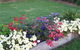 Narromine Tourist Park And Motel - thumb 1
