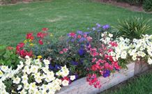 Narromine Tourist Park And Motel - New South Wales Tourism  1