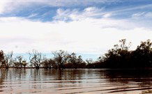Pimpara Lake Stationstay - New South Wales Tourism  5