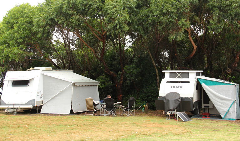 Pretty Beach NSW New South Wales Tourism 