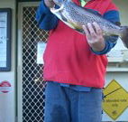 Rainbow Pines Tourist Caravan Park - New South Wales Tourism 