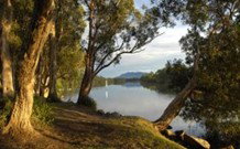 South West Rocks Tourist Park - South - New South Wales Tourism  0