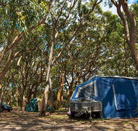 Stewart and Lloyds campground - New South Wales Tourism 