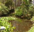 Tallowood Ridge B and B - New South Wales Tourism 