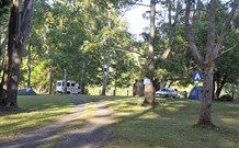 The Channon Village Campground - New South Wales Tourism  0
