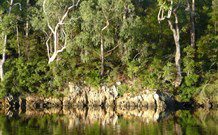 The Escape Luxury Camping - New South Wales Tourism  5