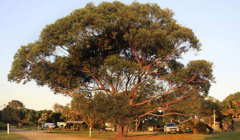 The Ruins Campground And Picnic Area - New South Wales Tourism  1