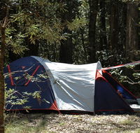 Thungutti campground - New South Wales Tourism 