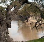 Trilby Station - New South Wales Tourism 