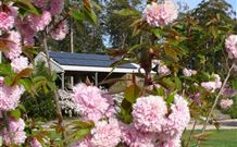 Tyrra Cottage Bed And Breakfast - New South Wales Tourism  2