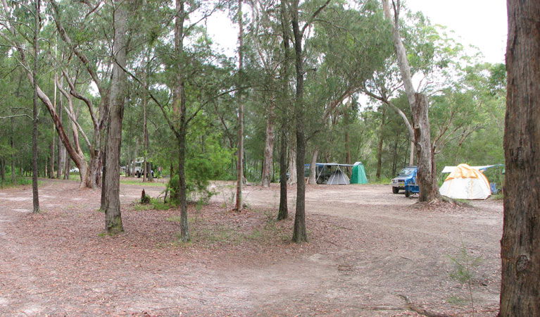 Wallingat NSW New South Wales Tourism 