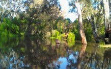 Wanganella Creek Camp Park - New South Wales Tourism  2