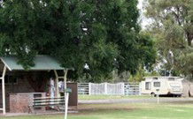 Warialda Caravan Park - New South Wales Tourism  0