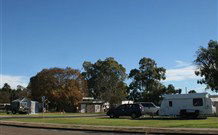 Warialda Caravan Park - New South Wales Tourism  2