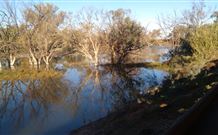 Warrawong On The Darling - New South Wales Tourism  0