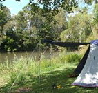 Williams River Holiday Park - New South Wales Tourism 