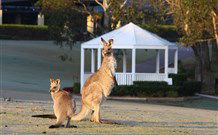 Chateau Elan At The Vintage Hunter Valley - New South Wales Tourism  4