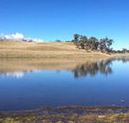 Bombala Maneroo Motel - Bombala - New South Wales Tourism 