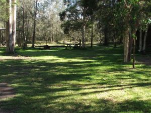 Jervis Bay Cabins And Hidden Creek Real Camping - New South Wales Tourism  6
