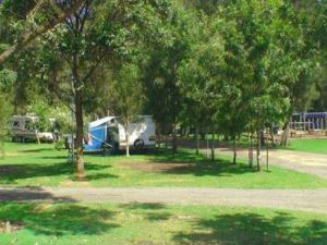 Weeroona Caravan Park - New South Wales Tourism  1