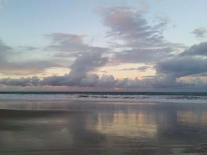 Minnie Water Holiday Park - New South Wales Tourism  0