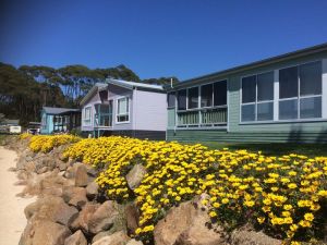 Dolphins Point Tourist Park - New South Wales Tourism  1