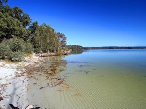 Swan Lake Holiday Park - New South Wales Tourism  4
