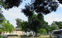 Dubbo City Holiday Park - Dubbo - New South Wales Tourism  3