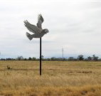 Gulargambone Hotel - Gulargambone - New South Wales Tourism 