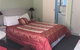 High Mountains Motor Inn - thumb 1