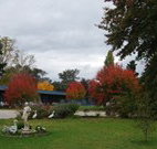 Holbrook Settlers Motel - Holbrook - New South Wales Tourism 