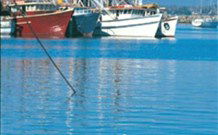 Iluka Motel - Iluka - New South Wales Tourism  2