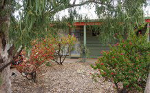 Lightning Ridge Outback Resort And Caravan Park - Lightning Ridge - New South Wales Tourism  3