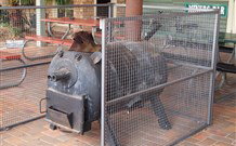 Lightning Ridge Outback Resort And Caravan Park - Lightning Ridge - New South Wales Tourism  7